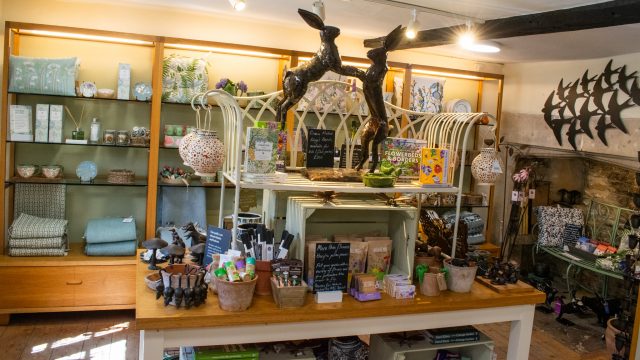 NIKON D5300 18mm f/11 1/60sec ISO-1000 2026-04-29 10:34:29