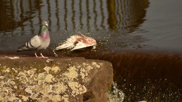 NIKON D3500 ISO-160 2026-04-08 11:38:02