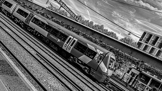 NIKON D7000 18mm f/9 1/80sec ISO-100 2026-07-01 15:53:26