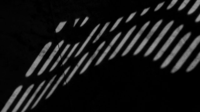 DMC-GX8 36mm f/8 1/640sec ISO-200 2026-04-06 10:39:06